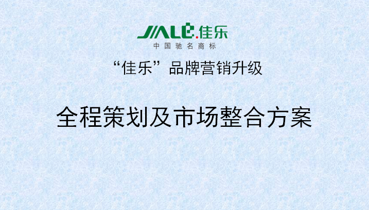 2013年3月18日正睿專家老師向佳樂項(xiàng)目董事長(zhǎng)陳述調(diào)研報(bào)告