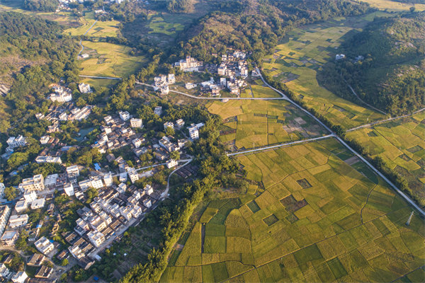 肇慶預算管理咨詢公司如何為企業(yè)構(gòu)建精細化的預算體系？